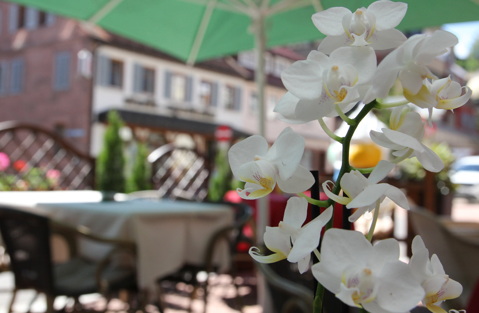 Galleriebild